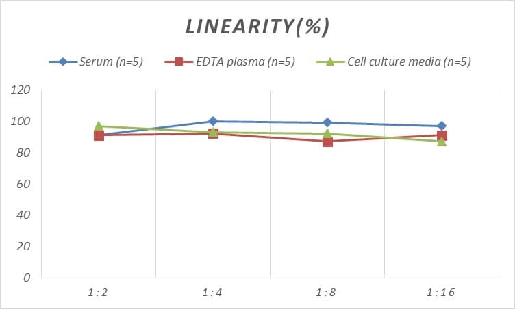 Mouse NOX1 ELISA Kit (Colorimetric)