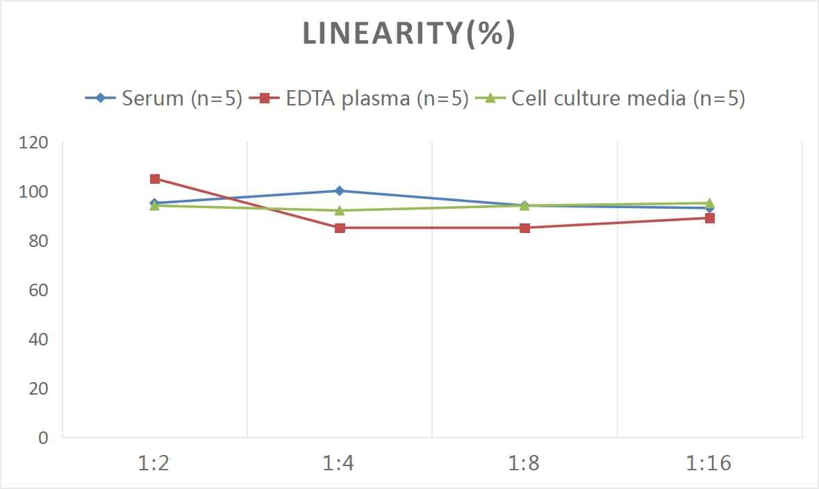 Rat NOX1 ELISA Kit (Colorimetric)