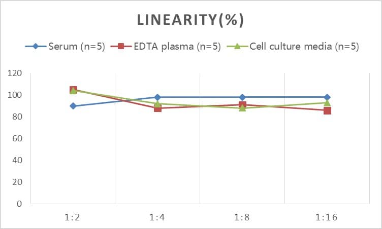 Human NOX5 ELISA Kit (Colorimetric)