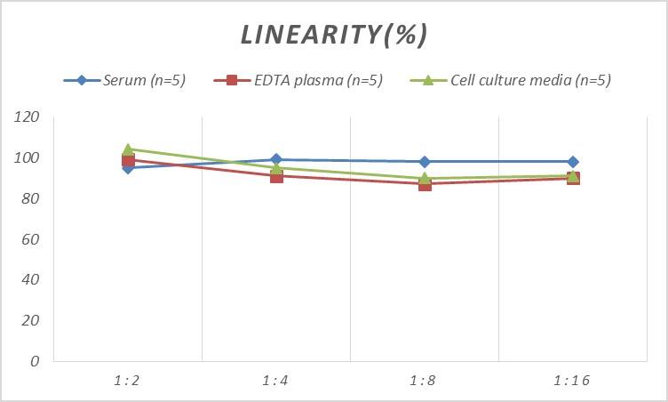 Human Neuronal Pentraxin 1 ELISA Kit (Colorimetric)