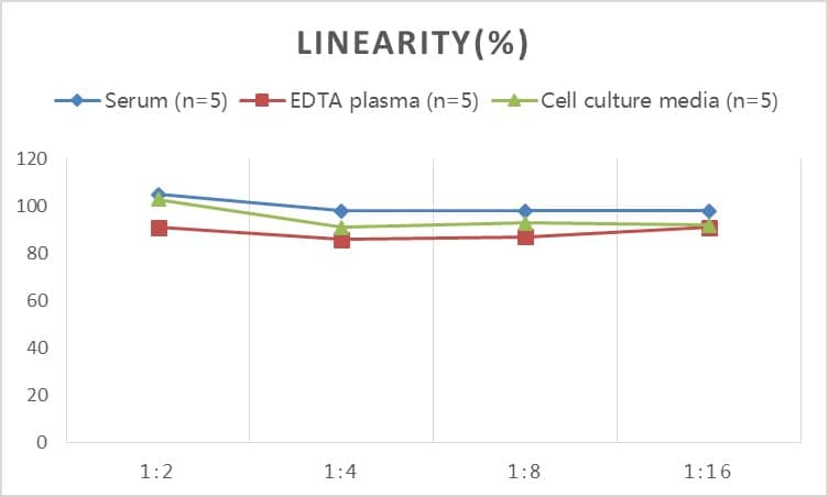 Human NPY2R ELISA Kit (Colorimetric)