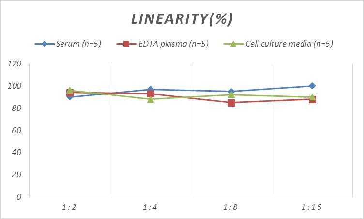 Human NPY5R ELISA Kit (Colorimetric)