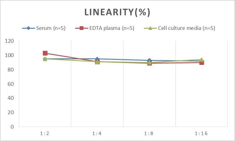 Rat Neuregulin-2 ELISA Kit (Colorimetric)