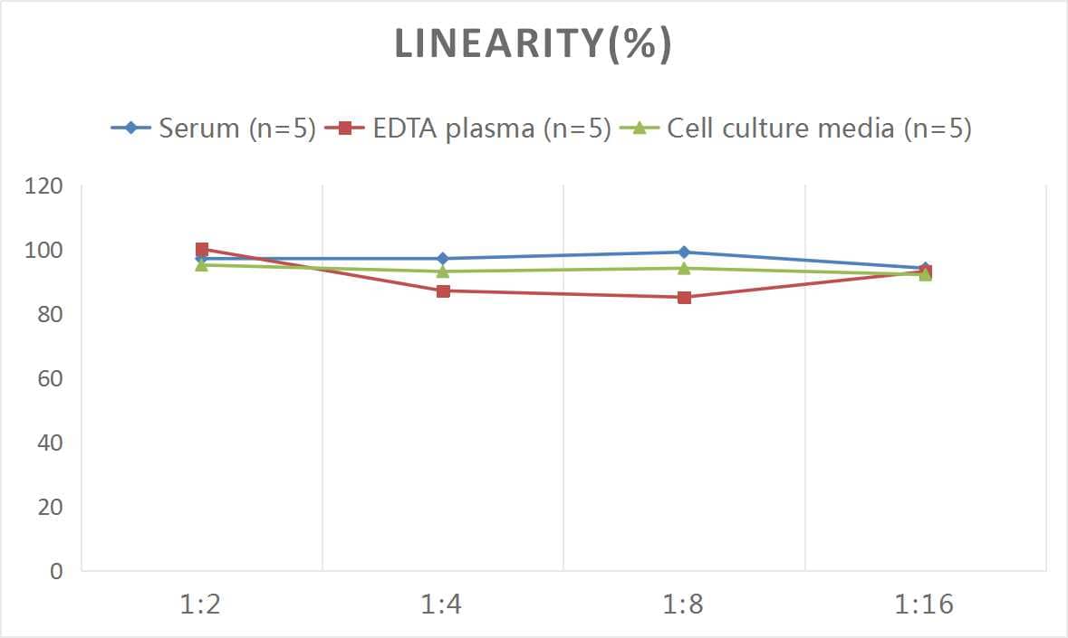 Human NT-3 ELISA Kit (Colorimetric)