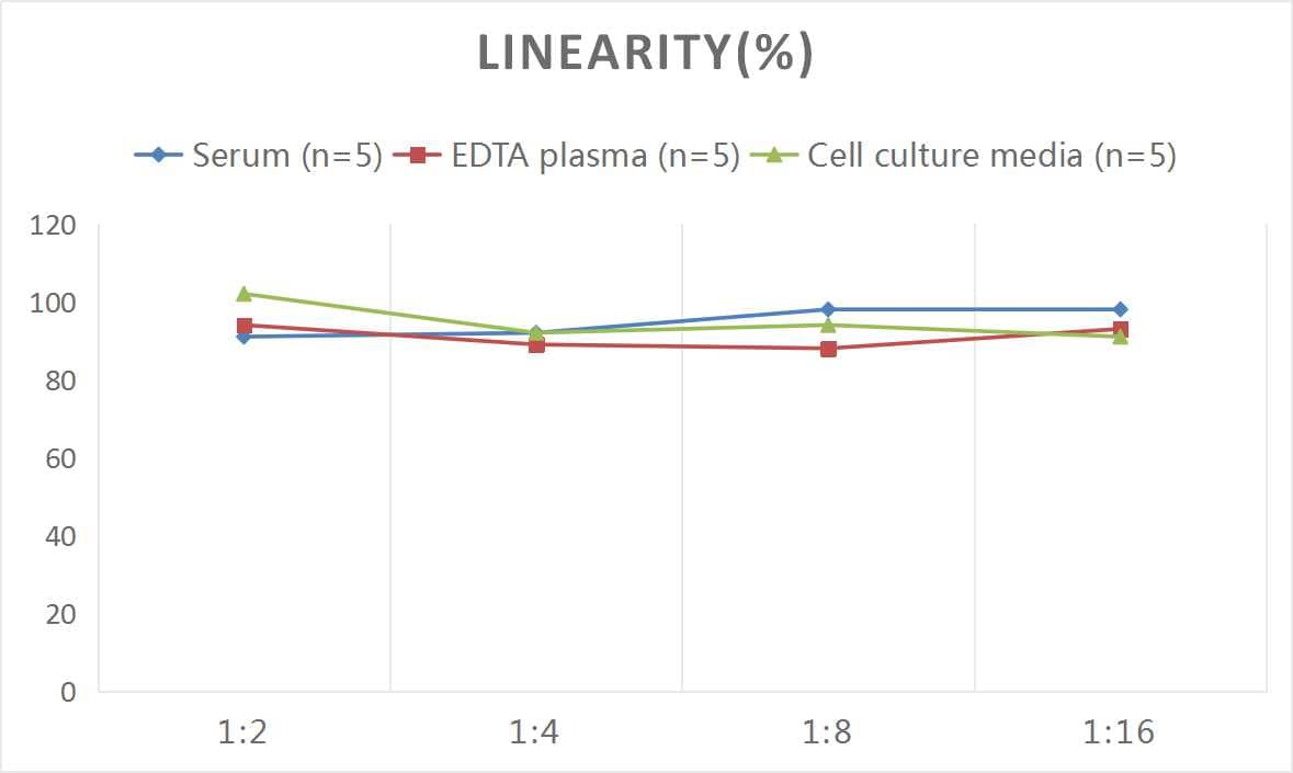 Human Netrin-1 ELISA Kit (Colorimetric)