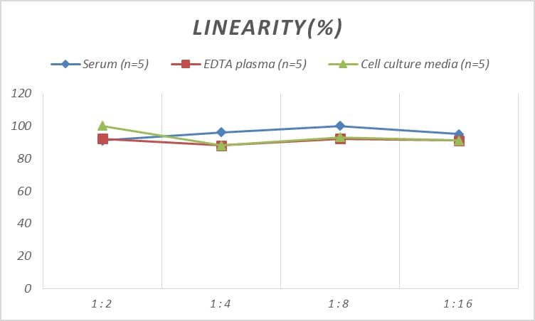 Mouse TrkB ELISA Kit (Colorimetric)