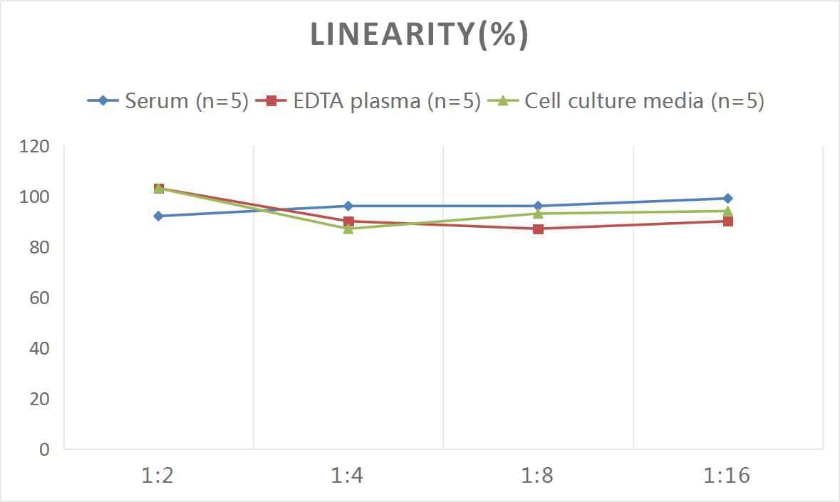 Rat TrkB ELISA Kit (Colorimetric)