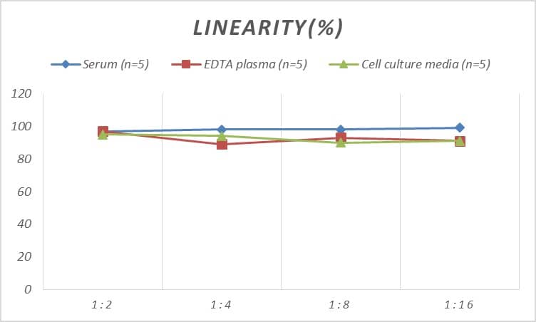 Rat TrkC ELISA Kit (Colorimetric)