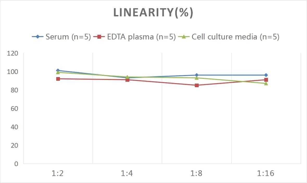 Human Mimecan/OIF ELISA Kit (Colorimetric)