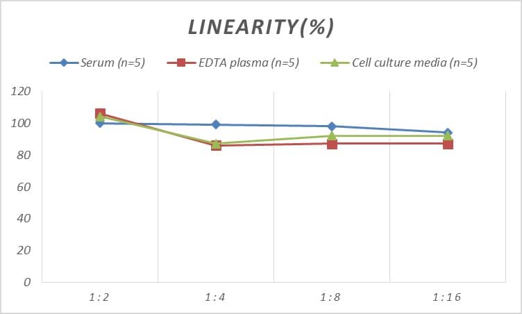 Rat SPARC ELISA Kit (Colorimetric)