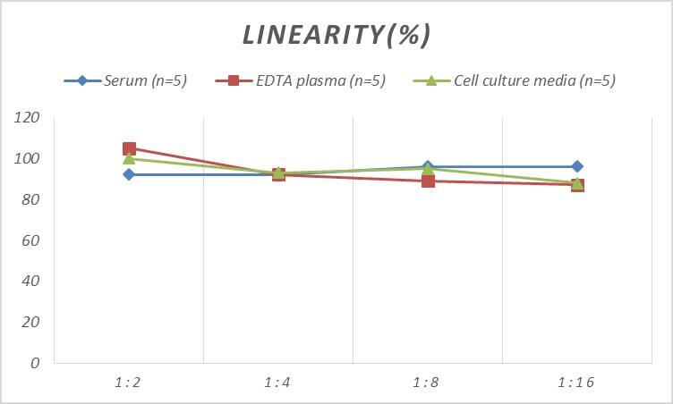 Rat OSTF1 ELISA Kit (Colorimetric)