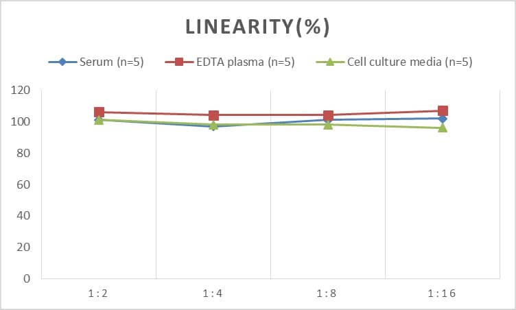 Rabbit Lipocalin-2/NGAL ELISA Kit (Colorimetric)