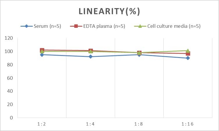 Rabbit NT-proBNP ELISA Kit (Colorimetric)