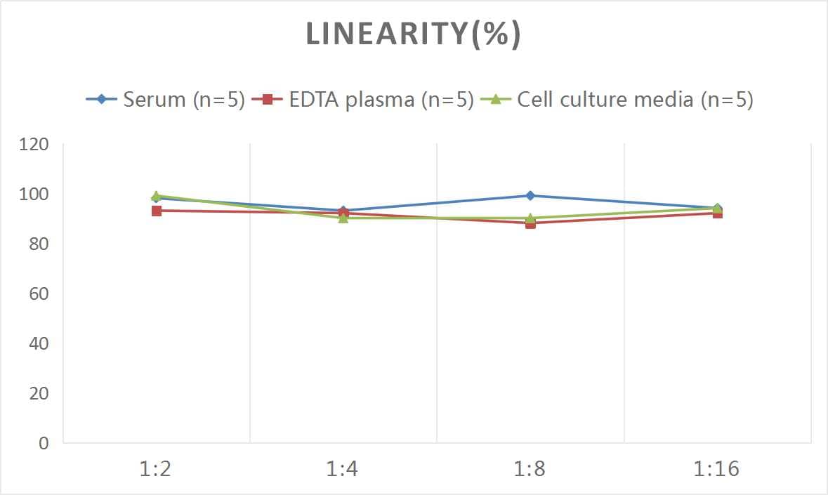 Human Nox4 ELISA Kit (Colorimetric)