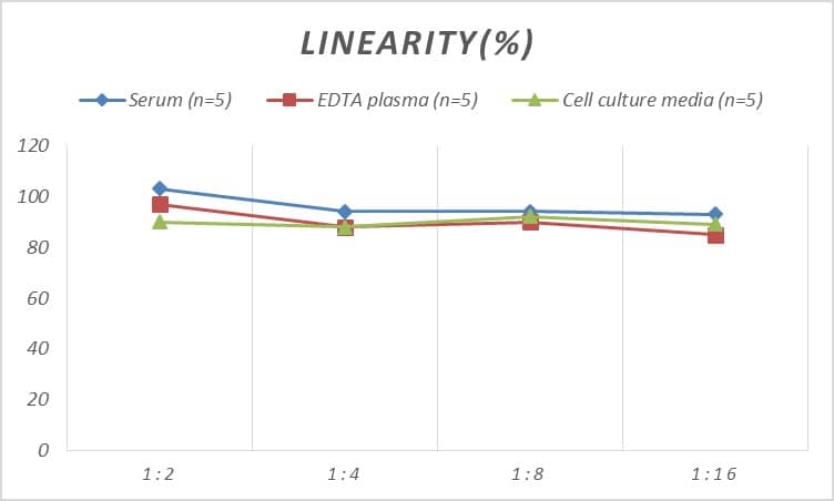 Rat Nox4 ELISA Kit (Colorimetric)