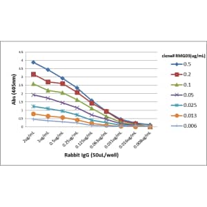IgG Antibody (RMG03)