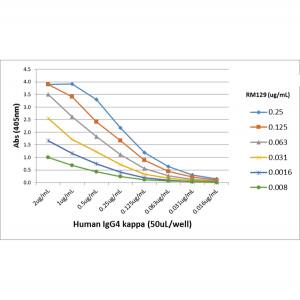 Ig Light Chain Antibody (RM129)