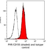 CD155/PVR Antibody (BLR074G)