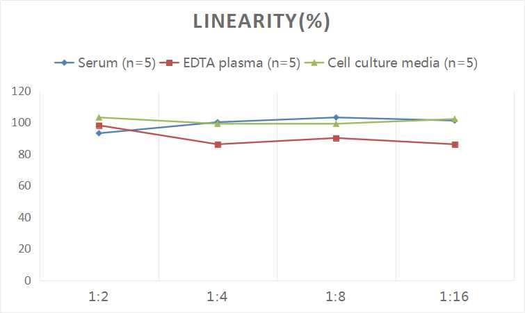 Human TIMP-2 ELISA Kit (Colorimetric)