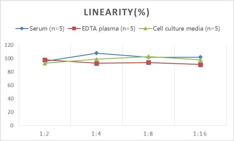 Rat Proinsulin ELISA Kit (Colorimetric)