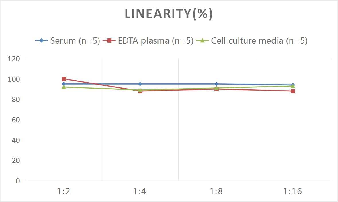 Mouse CD8 ELISA Kit (Colorimetric)