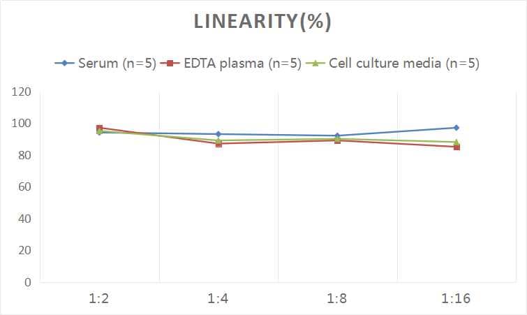 Human ACE-2 ELISA Kit (Colorimetric)