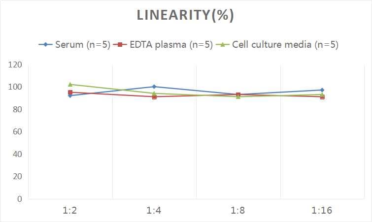 Human Adrenomedullin/ADM ELISA Kit (Colorimetric)