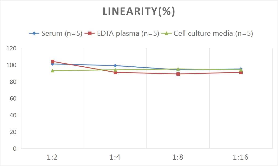 Mouse Adrenomedullin/ADM ELISA Kit (Colorimetric)