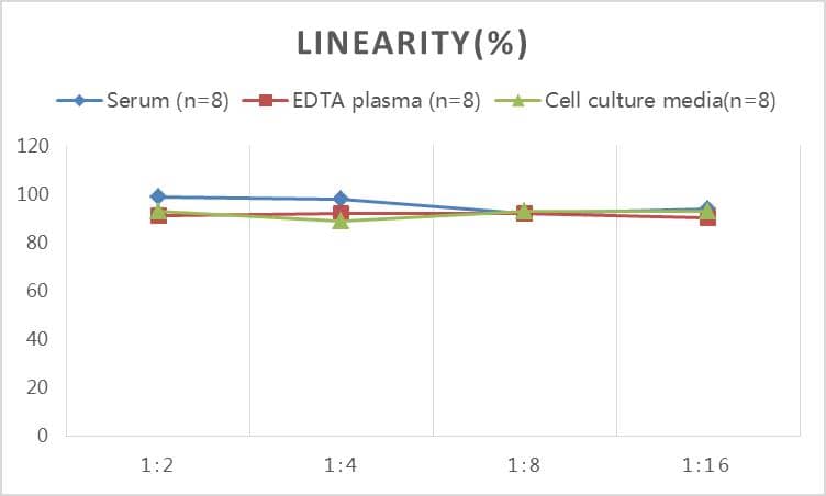 Rat Adrenomedullin/ADM ELISA Kit (Colorimetric)