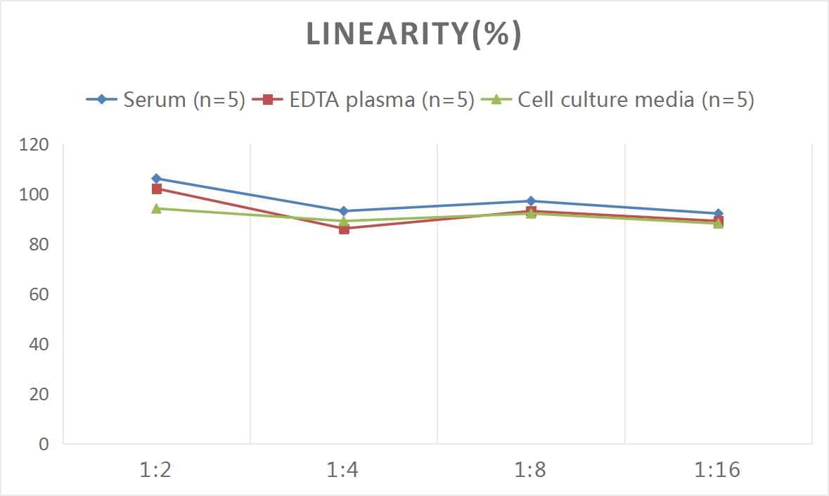 Mouse AgRP/ART ELISA Kit (Colorimetric)