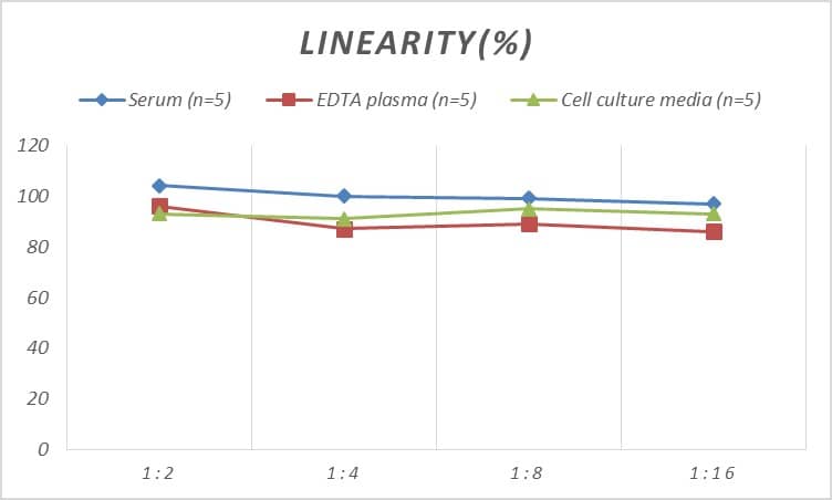 Rat AgRP/ART ELISA Kit (Colorimetric)