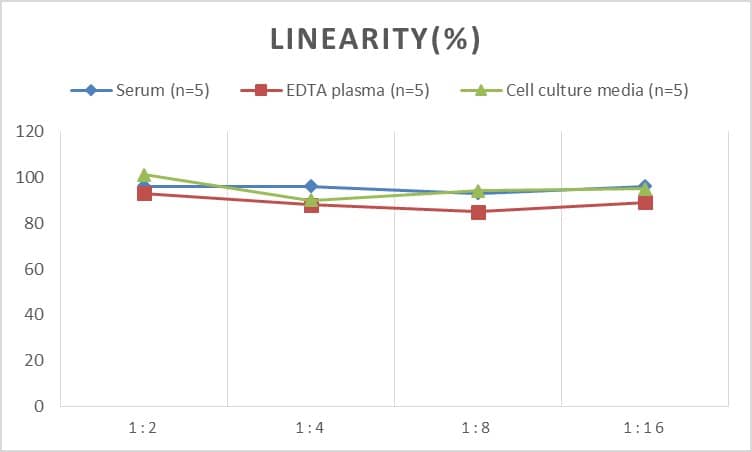 Rat APP ELISA Kit (Colorimetric)