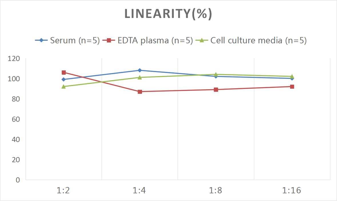 Rat beta 2-Microglobulin ELISA Kit (Colorimetric)