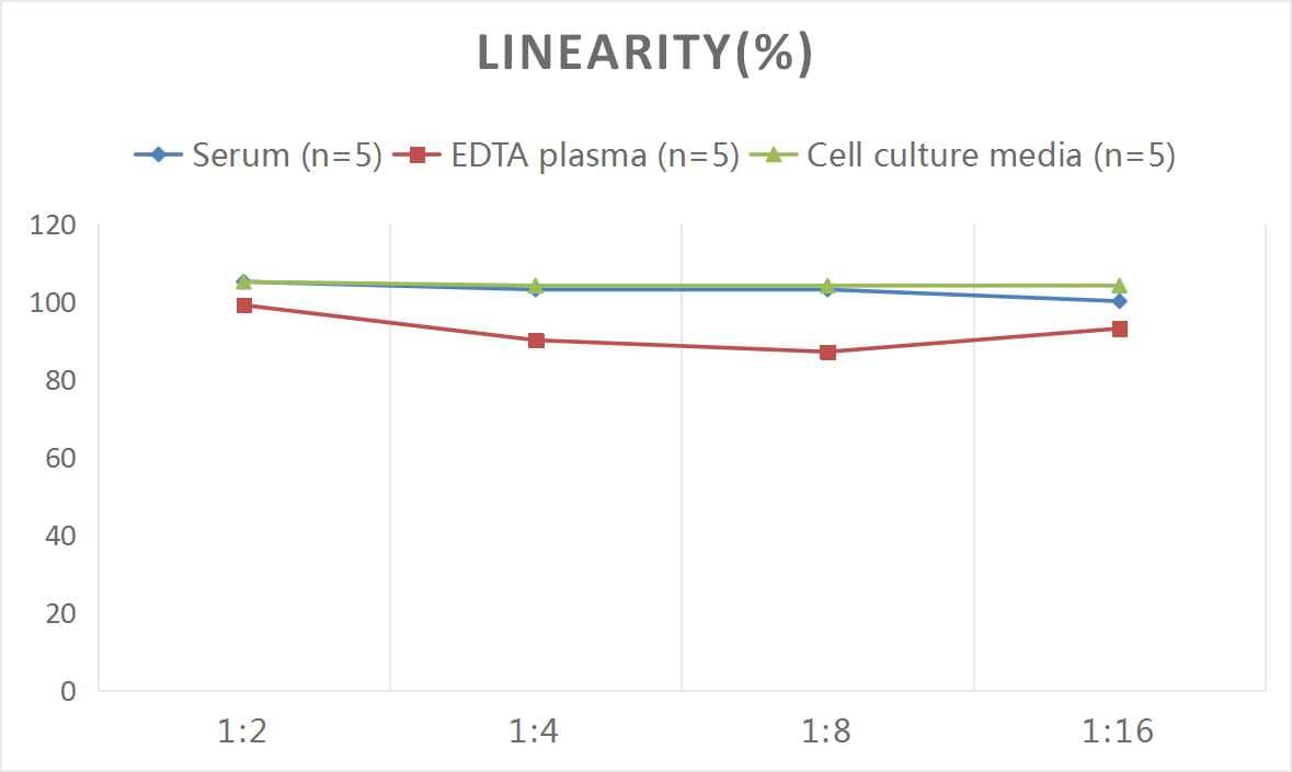 Mouse beta 2-Microglobulin ELISA Kit (Colorimetric)