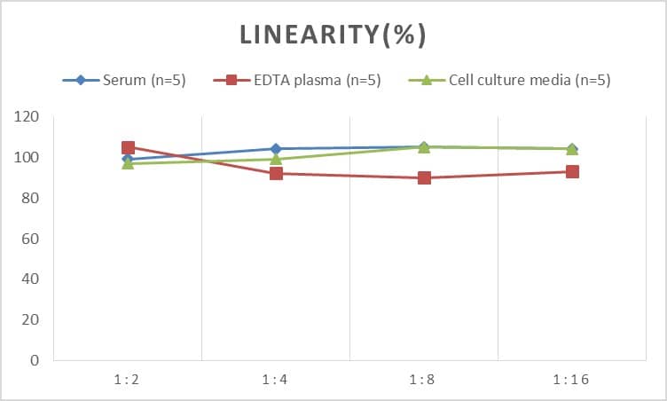 Rat CXCL5/ENA-78 ELISA Kit (Colorimetric)