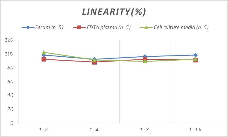 Rat CCL15/MIP-1 delta ELISA Kit (Colorimetric)