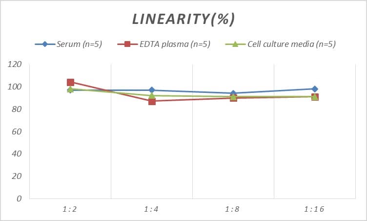 Mouse NF-M ELISA Kit (Colorimetric)