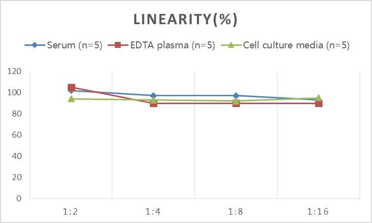 Rat PACAP/ADCYAP1 ELISA Kit (Colorimetric)