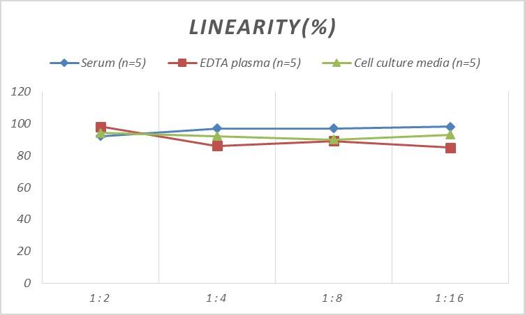 Rat NF-H ELISA Kit (Colorimetric)