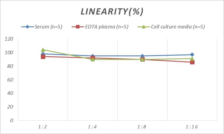 Rat alpha 2-Macroglobulin ELISA Kit (Colorimetric)