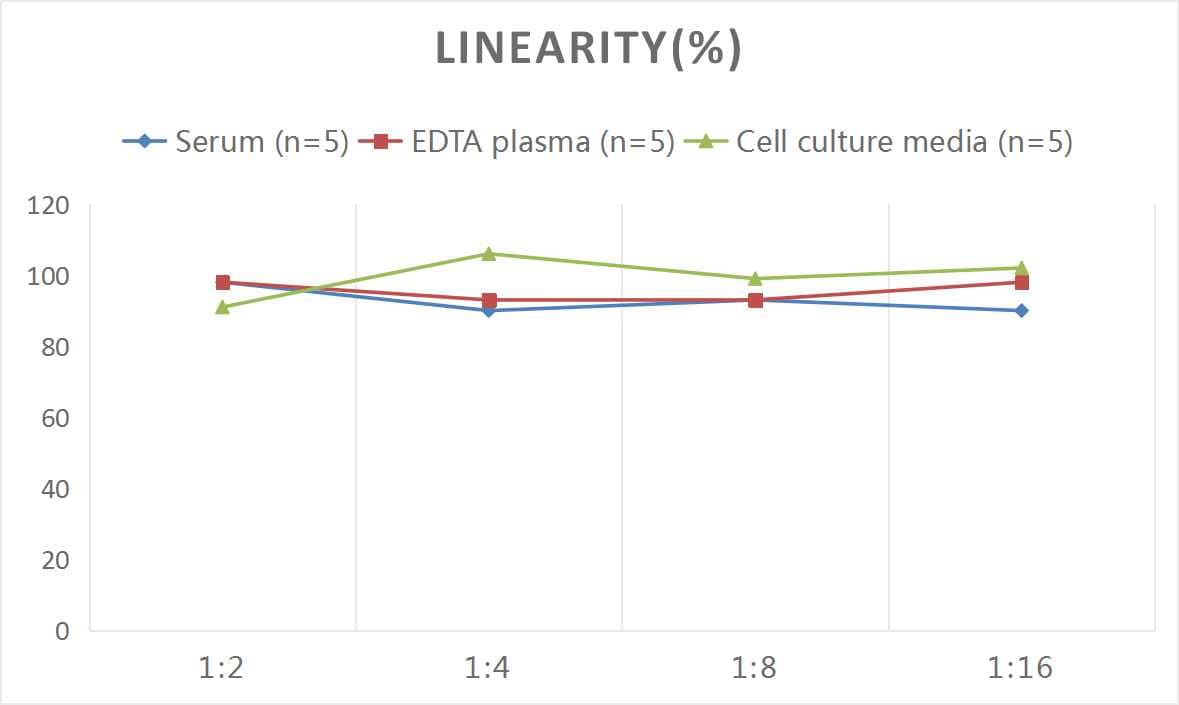 Mouse Beta-endorphin ELISA Kit (Colorimetric)