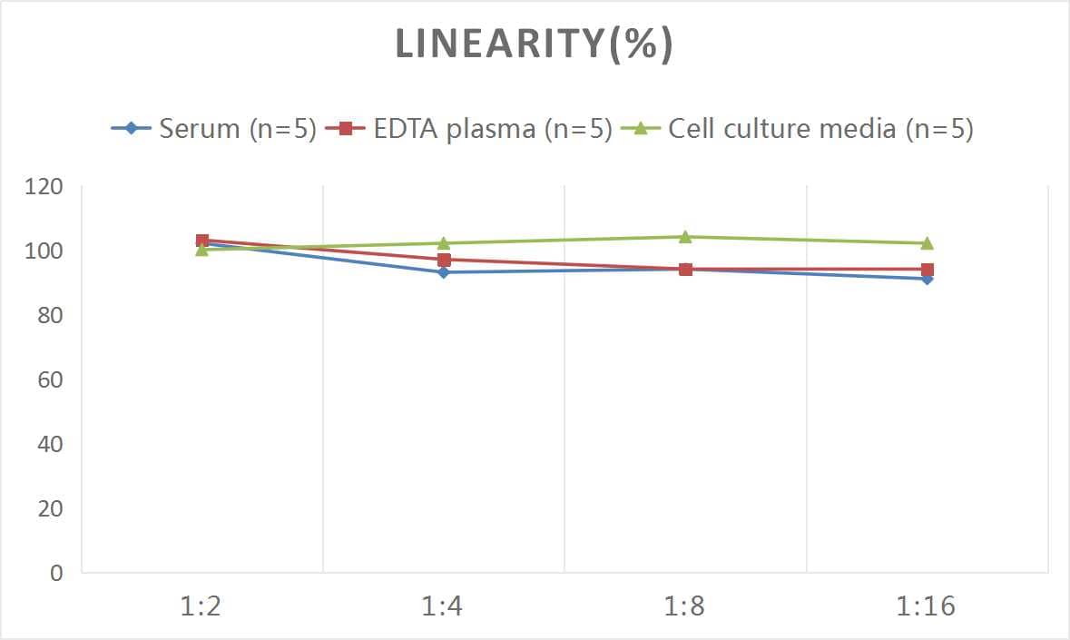 Rat Beta-endorphin ELISA Kit (Colorimetric)