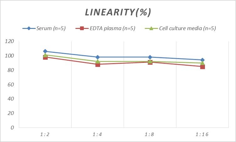 Mouse mu Opioid R/OPRM1 ELISA Kit (Colorimetric)