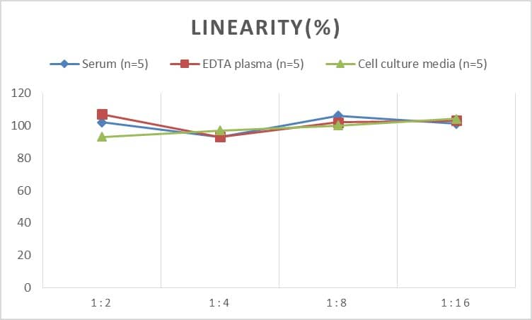 Human mu Opioid R/OPRM1 ELISA Kit (Chemiluminescence)