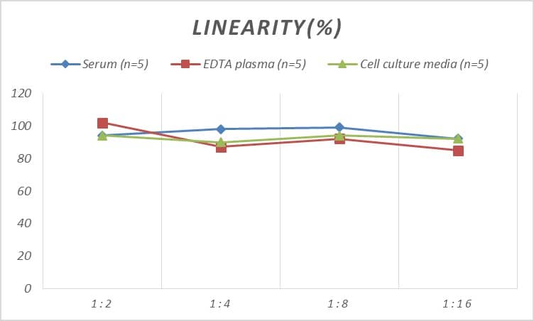 Mouse VEGFR3/Flt-4 ELISA Kit (Colorimetric)