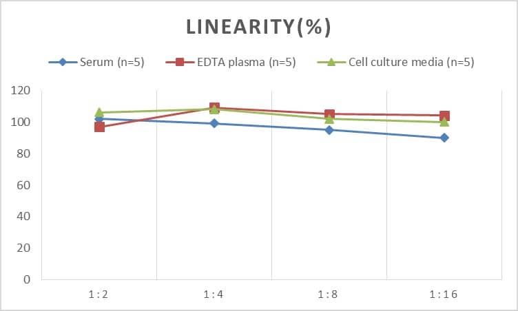 Mouse VEGFR3/Flt-4 ELISA Kit (Chemiluminescence)