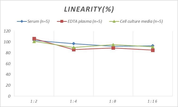 Monkey VEGFR1/Flt-1 ELISA Kit (Colorimetric)