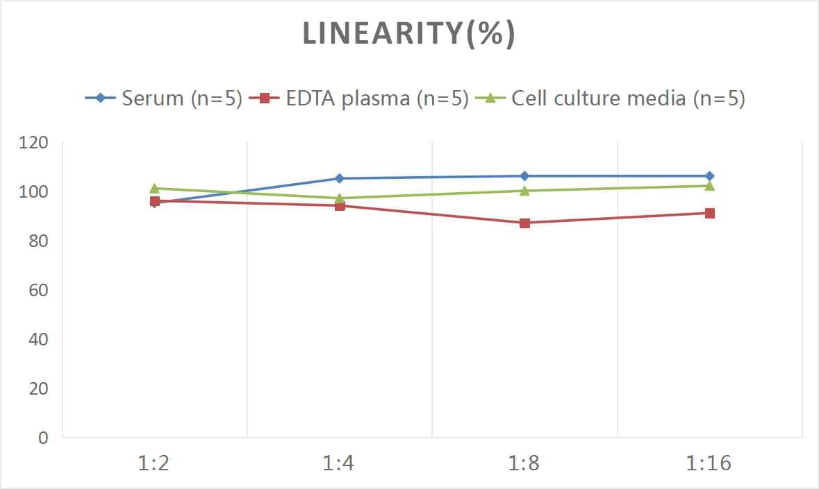 Rat VEGFR2/KDR/Flk-1 ELISA Kit (Colorimetric)