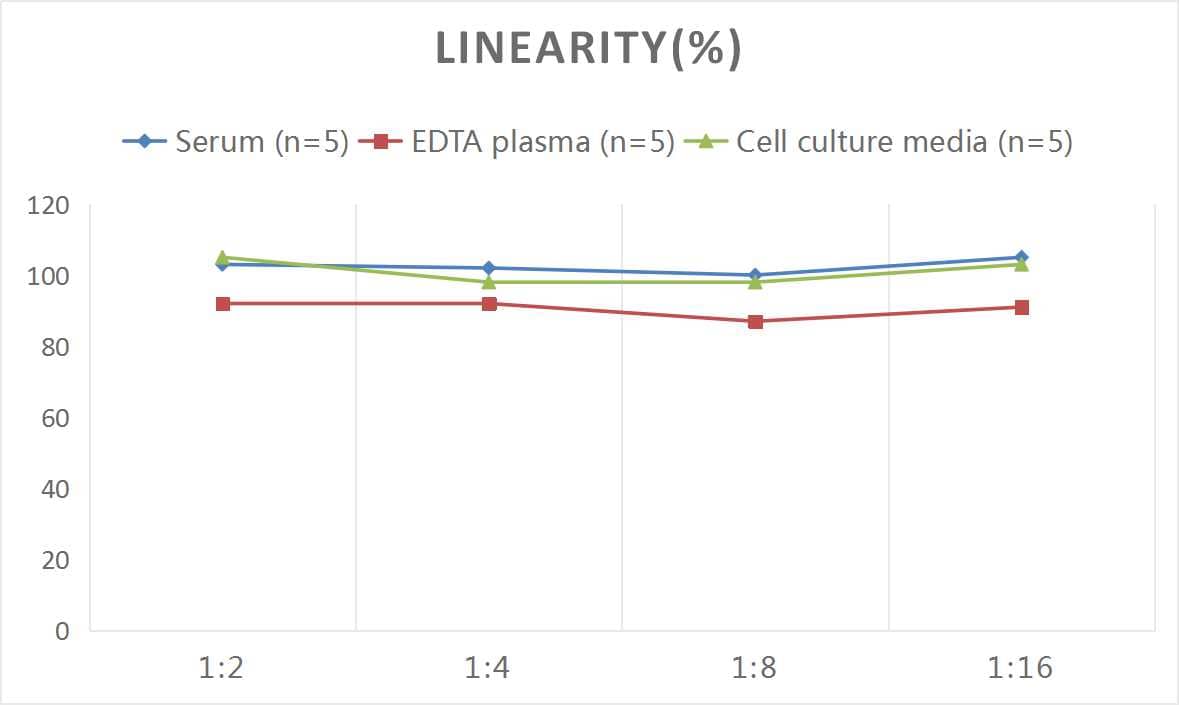 Mouse VEGF-C ELISA Kit (Colorimetric)