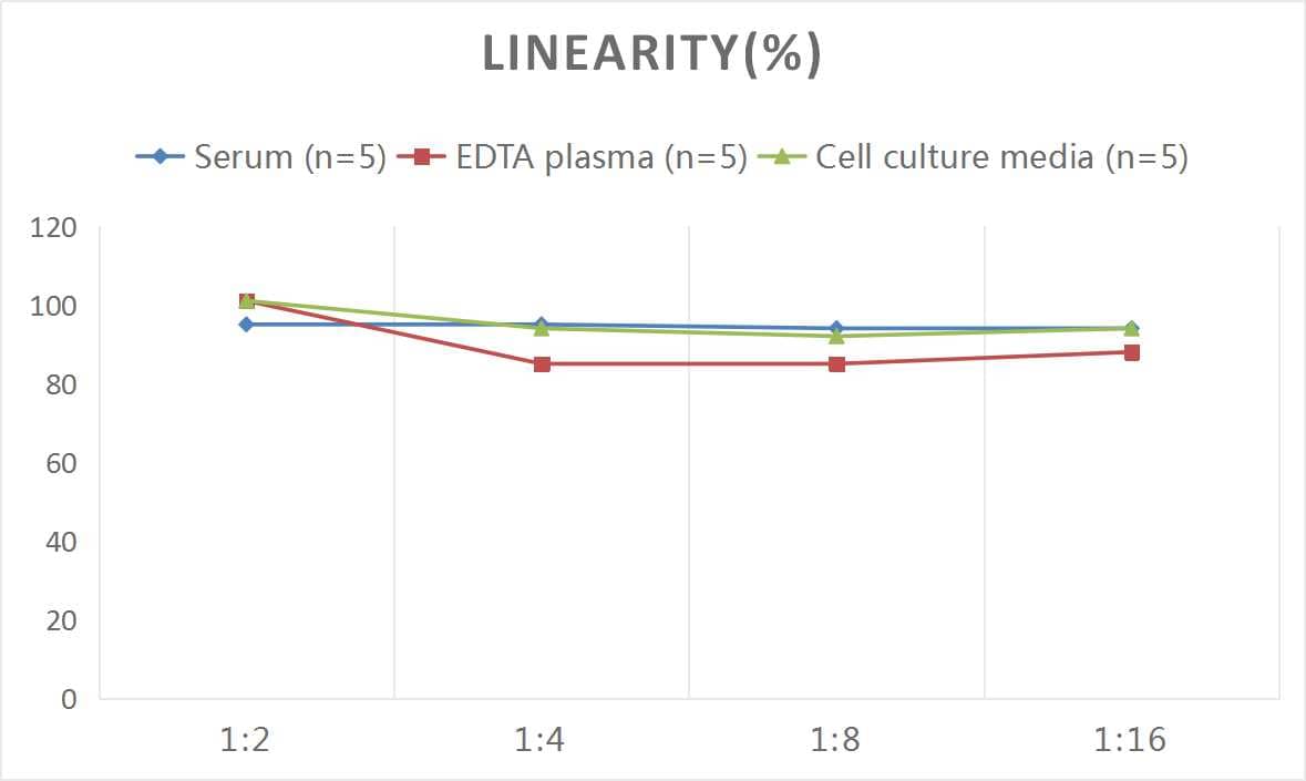 Human VEGF-B ELISA Kit (Colorimetric)